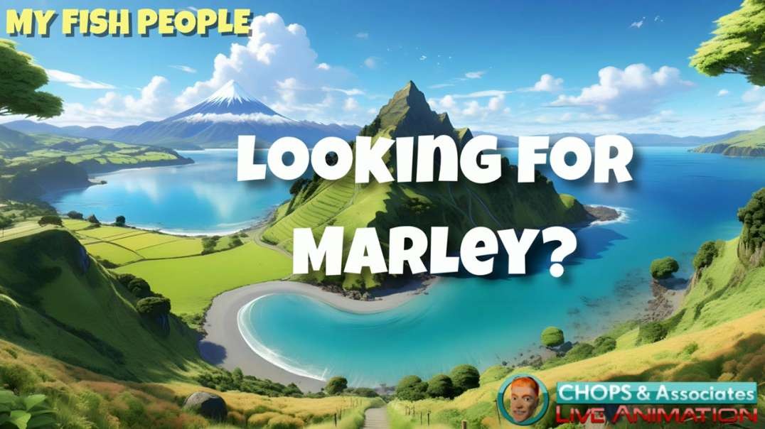 Are You Looking for Marley?