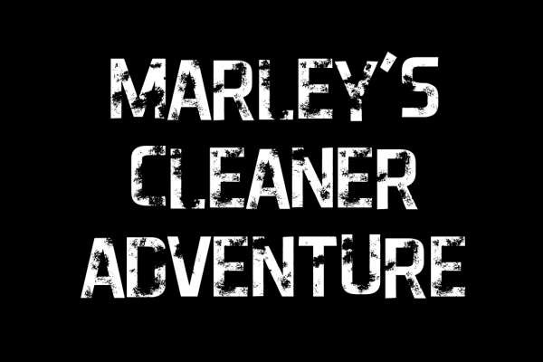My Fish People - Marley's Cleaner - Interactive Video