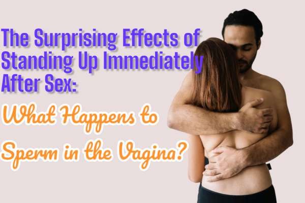 The Surprising Effects of Standing Up Immediately After Sex: What Happens to Sperm in the Vagina?