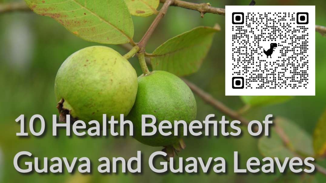 Top 10 Health Benefits of Guava and Guava Leaves