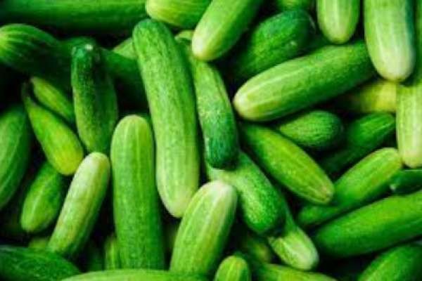 13 Benefits of Cucumber
