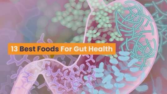 13 Best Foods for Gut Health