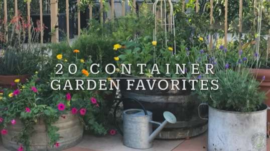 20 BEST Vegetables  Fruits   Herbs by Growing in the Garden