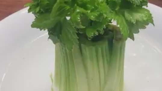 How To Regrow Celery From Celery by The Ripe Tomato Farms