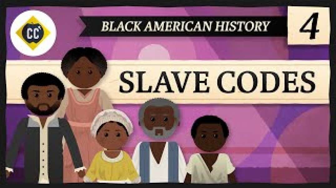 Slave Codes  Crash Course Black American History  4