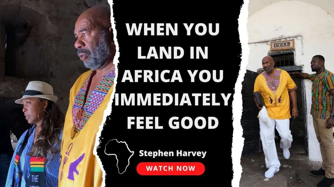 When you land in Africa you immediately feel good   Steve Harvey