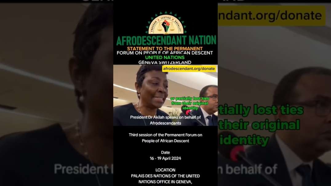Statement to the United Nations Permanent Forum on People Of African Descent